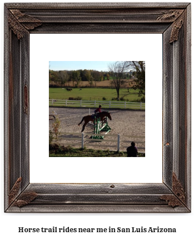 horse trail rides near me in San Luis, Arizona